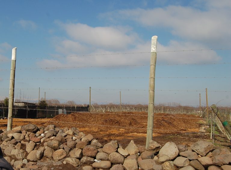 Municipio curicano ofició a seremi de Salud por prolongación de malos olores