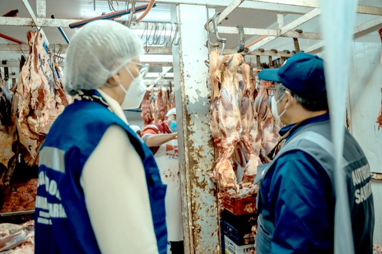Autoridad Sanitaria aumenta fiscalizaciones en carnicerías