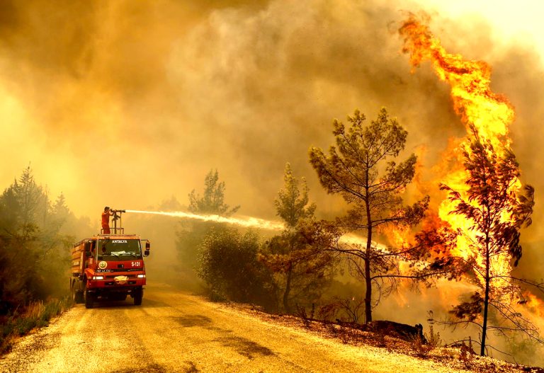 Mesa Forestal de Linares inició trabajo de coordinación de cara a época estival