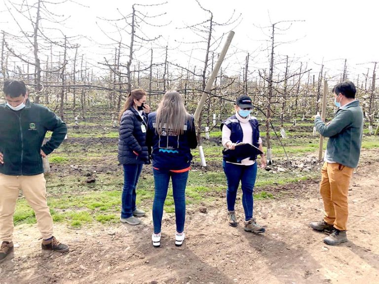 Recalcan la necesidad de una legislación que permita “fiscalizar las condiciones” que presentan fertilizantes