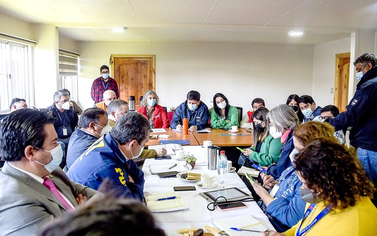 Incendio en la cordillera de Molina consume 50 hectáreas de bosque nativo