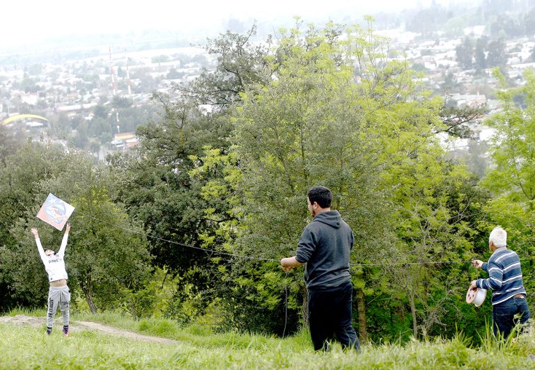 Curicanas y curicanos podrán disfrutar de tradicional paseo al cerro Condell