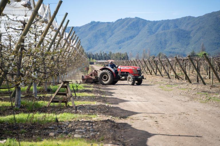 Más de una veintena de predios han sido fiscalizados por malos olores