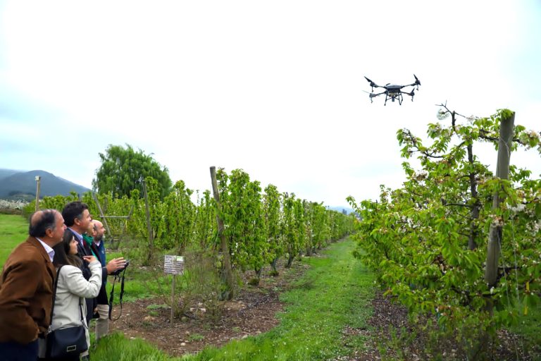 Llaman a postular proyectos de innovación agraria en el Maule
