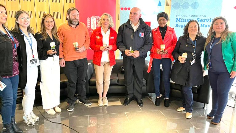 Experiencia del Maule será modelo para construir 40 centros de emergencia