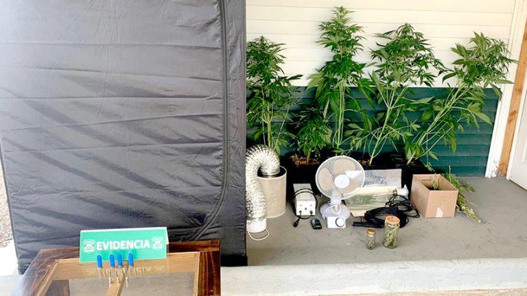 Detenido por mantener drogas y municiones en su vivienda