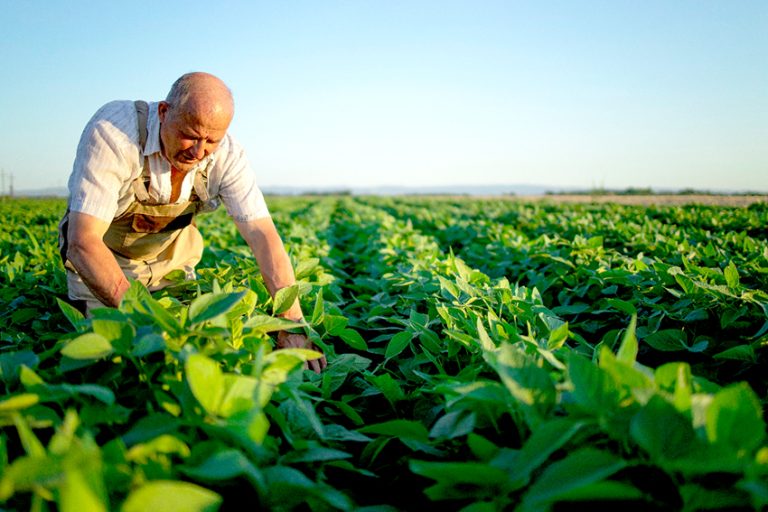 Experto entrega recomendaciones para el uso de equipos de riego
