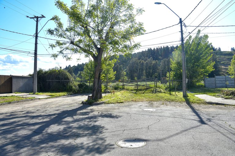 En proceso de licitación diseño que busca  mejorar conectividad entre Zapallar y Curicó