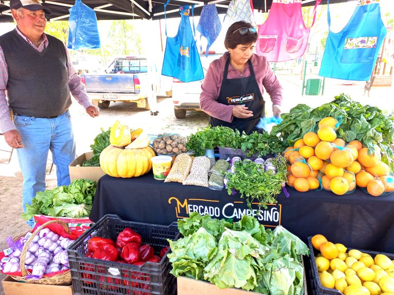 Inauguran Mercado Campesino en Pelarco