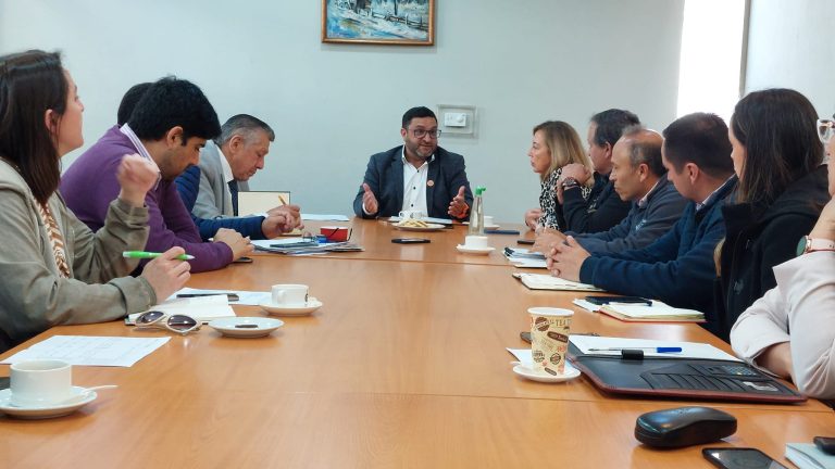 Proyectos sobre infraestructura deportiva son abordados por Comisión de Deportes del Consejo Regional