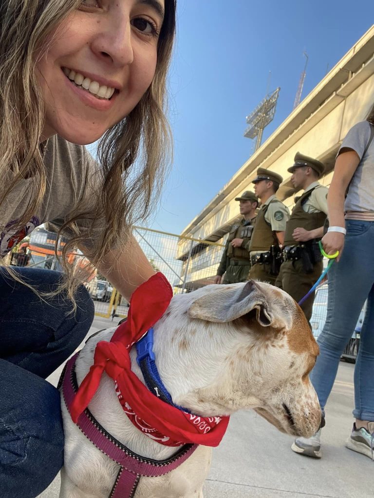 Brindan respaldo a proyecto que define a los animales como “seres sintientes”