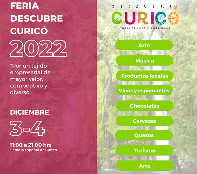 Para toda la comunidad: Curicó tendrá encuentro y feria de empresas familiares