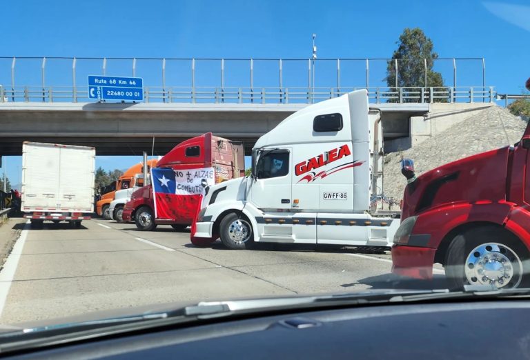 Paro de camioneros llevaría a la industria a detener la cosecha de frutas