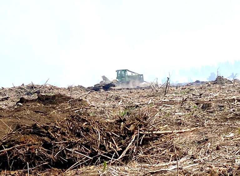 Controlan incendio forestal en precordillera molinense