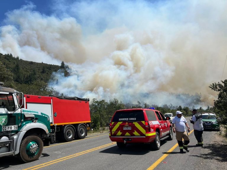 Fiscalía ordena investigar origen de incendio de carácter forestal en plena precordillera de Molina