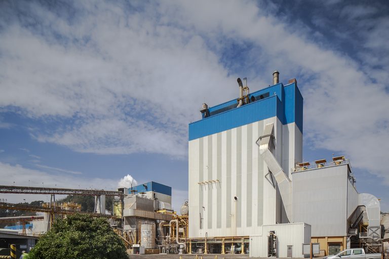 Conforman una mesa de trabajo para investigar causa de emergencia ambiental en Constitución