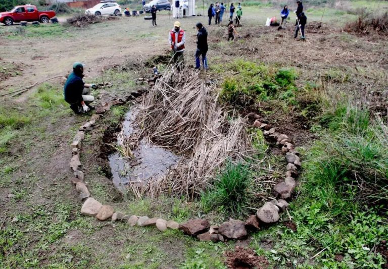 Concejal por humedales en el cerro: “Es importante que se proteja la biodiversidad existente en el lugar”