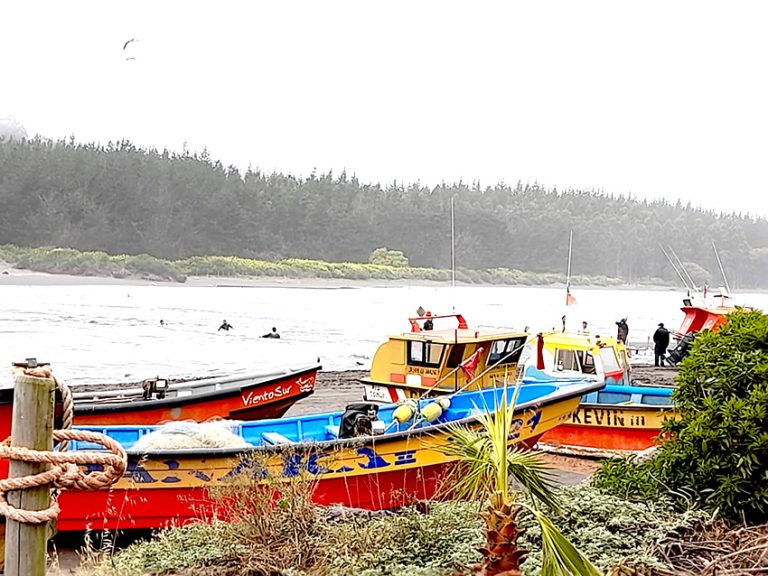 Pescadores de Llico comenzaron a cerrar la desembocadura del estero