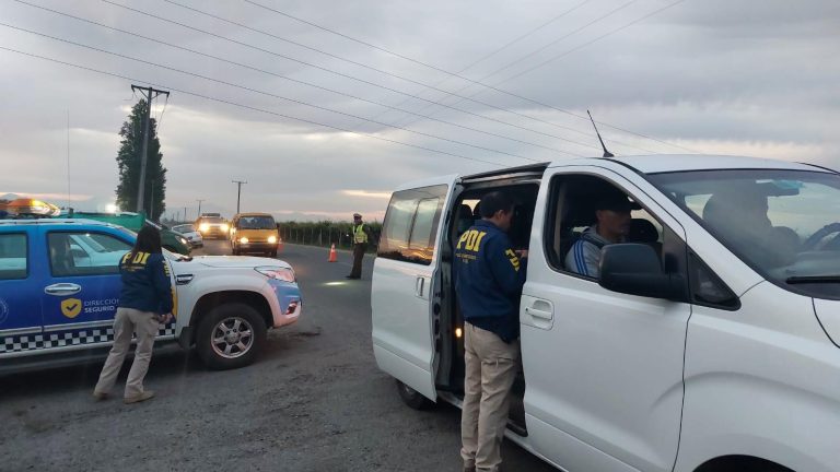 Casi 70 extranjeros irregulares fueron detectados por la PDI