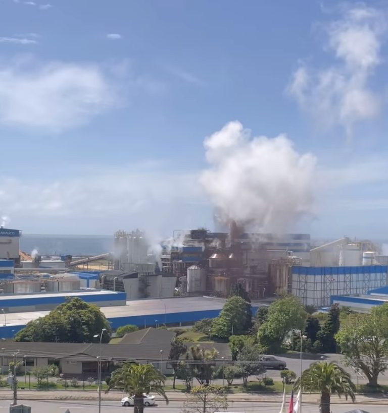 Fiscalía abre investigación de oficio por emanaciones desde la planta de celulosa Arauco en Constitución