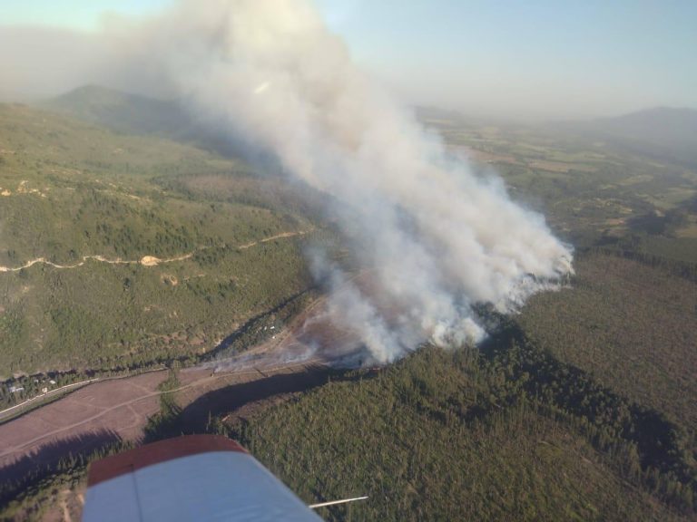 Experto advierte olas de calor extremas e incendios forestales de alta propagación