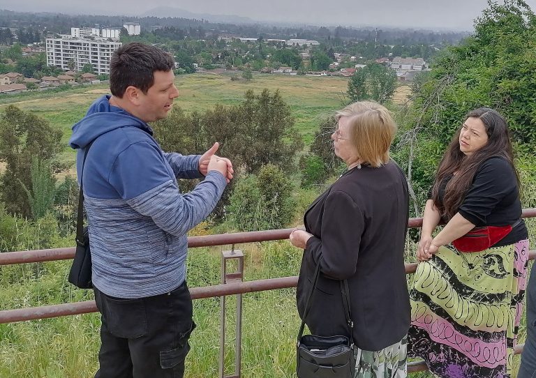 Diputada Mercedes Bulnes expresó necesidad de resguardar humedales