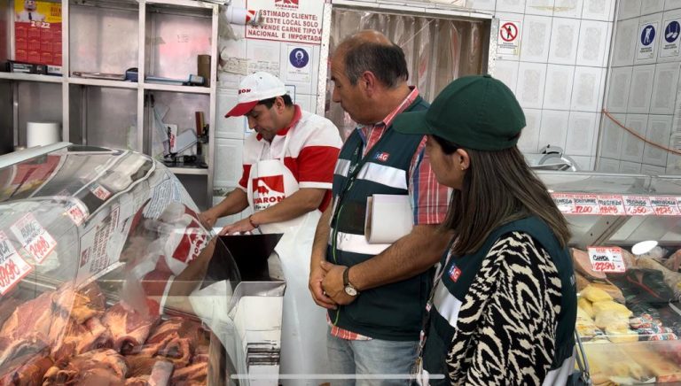 SAG y Seremi de Agricultura fiscalizan carnicerías