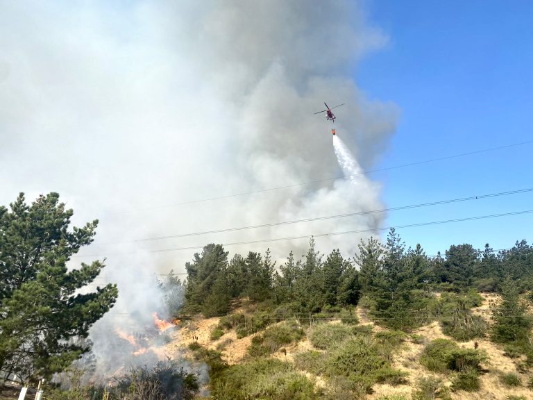 Activan “Botón Rojo” preventivo de incendios forestales en el Maule