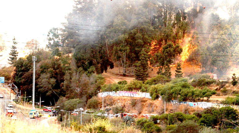 Intenso combate a incendios forestales en distintas regiones