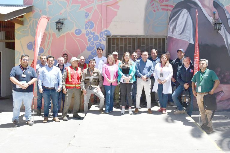 Organismos de emergencia, policiales y municipios coordinan acciones para época de incendios forestales