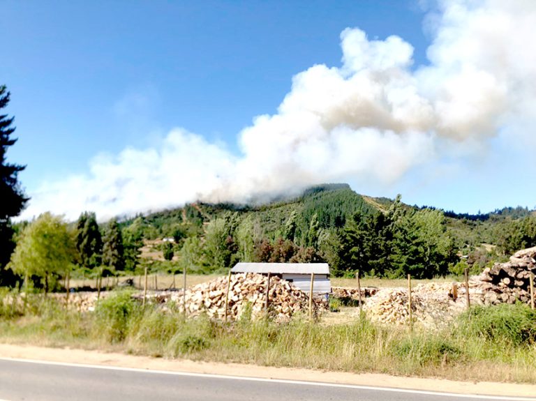 Detenido presunto autor de incendio forestal en Batuco