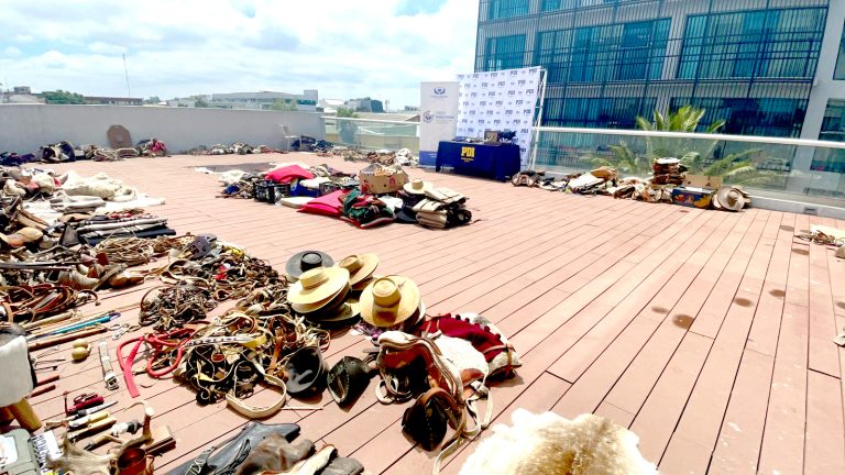 Cae banda que robaba aperos de  huaso en cuatro regiones del país