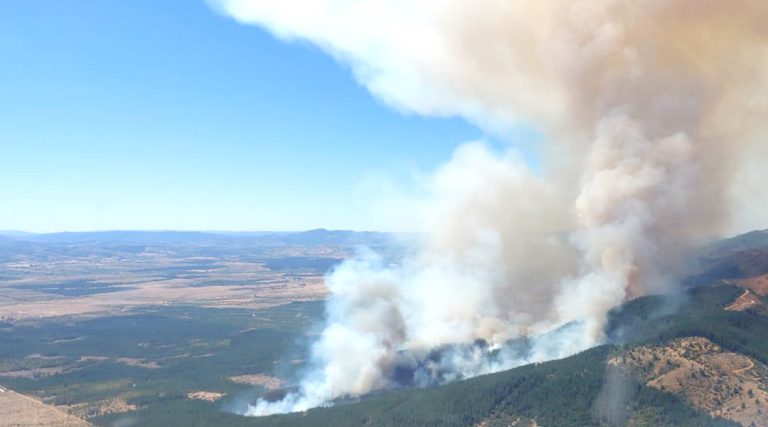 Incendio forestal obliga a evacuación de poblado por amenaza a viviendas