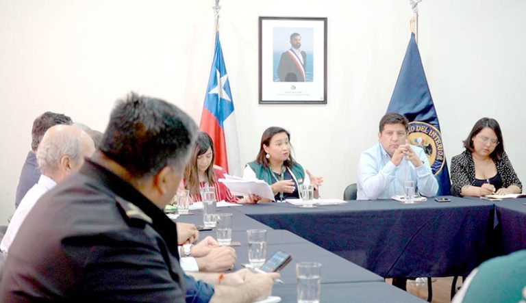 En el río Mataquito detectan primer caso confirmado de influenza aviar en el Maule