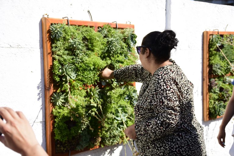 Instalan extenso Muro Verde en histórica villa de Molina