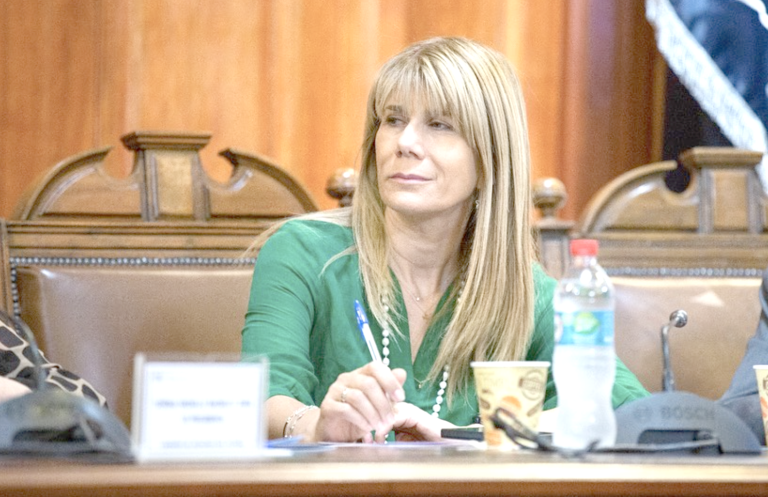 Senadora denuncia vulneración a derechos de niños maulinos