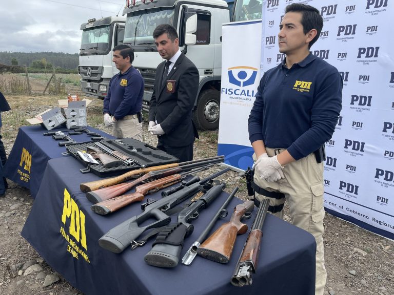 Prisión preventiva para 39 imputados por sustracción de madera en el Maule