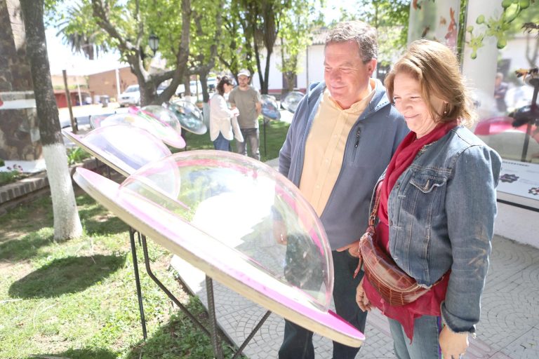 Muestra sobre abejas silvestres se extenderá hasta mediados de marzo