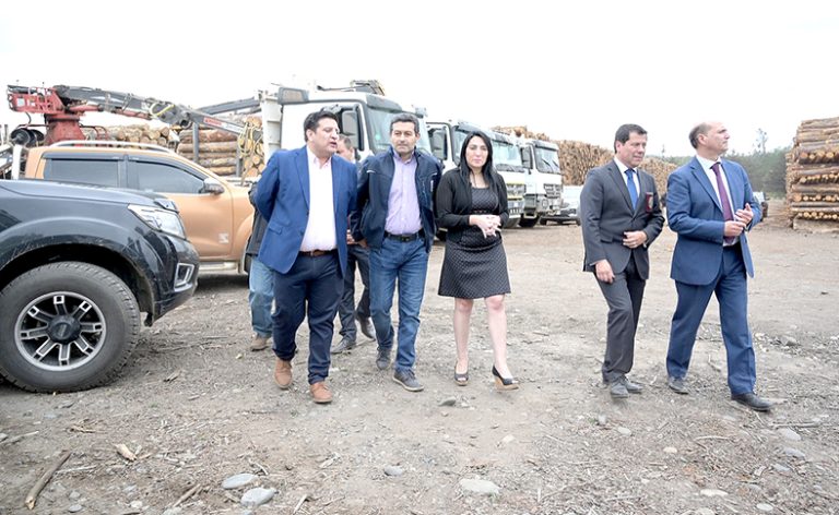 Investigación permitió desbaratar bandas criminales por delitos asociados a la sustracción de madera