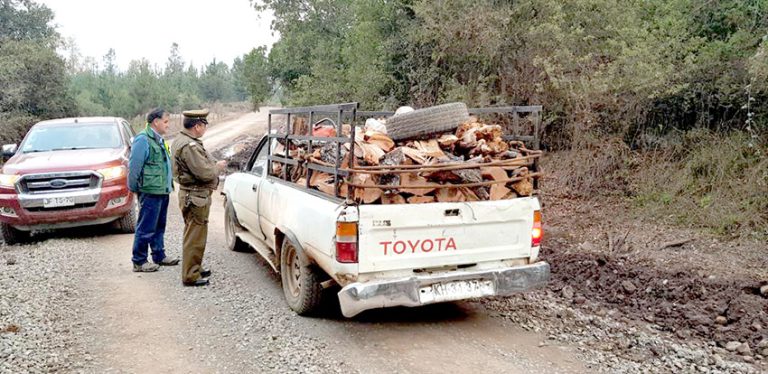 Maule es la tercera región del país con mayor fiscalización forestal