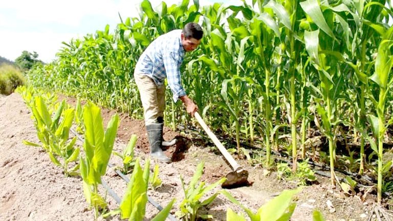 Canalistas y el MOP llegan a acuerdo para operar planta y llevar más agua a Pencahue