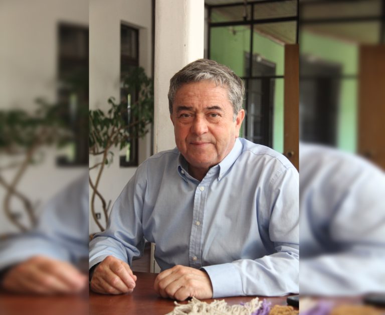 Senador Coloma: “Este Gobierno ha estado extraordinariamente bajo las expectativas”