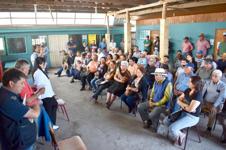 Buscan poder mitigar pérdidas de pequeños productores de berries