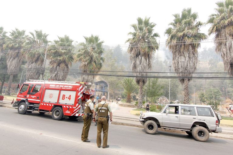 Incendio forestal afectó al cerro Condell de Curicó