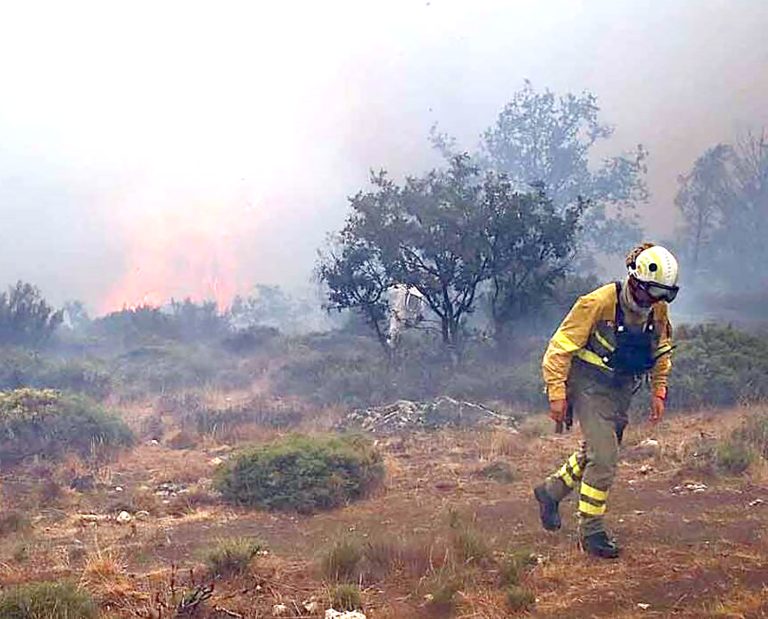 El humo proveniente de incendios forestales tiene enrarecido el aire en comunas del Maule
