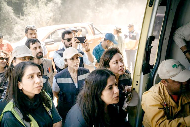 Incendio forestal en Longaví destruye los bosques más añosos de la región