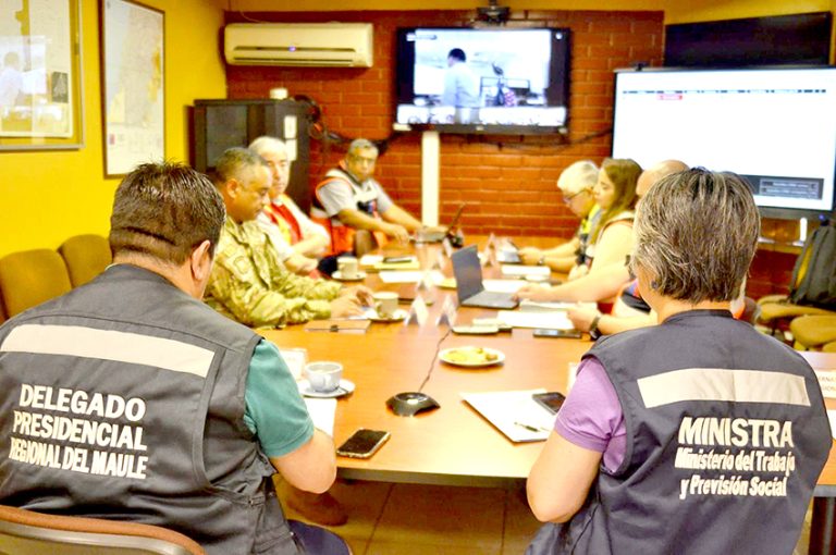 Ministra Jara: “La prioridad es apagar los incendios, luego vendrá la tarea de establecer intencionalidades”