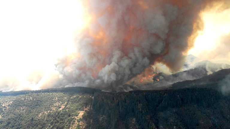 Cuatro comunas del Maule se mantienen en Alerta Roja por incendios forestales