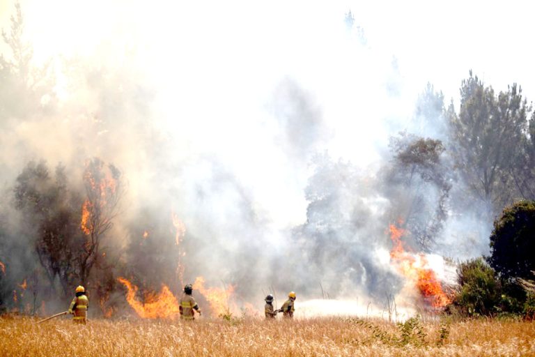 Solo una comuna de la región se mantiene en Alerta Roja por incendios forestales