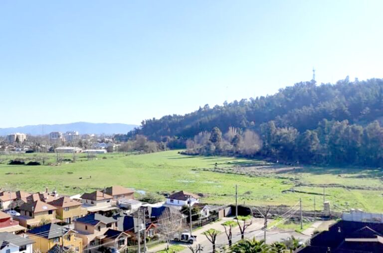 Solicitan protección de humedales ante la ejecución de proyecto vial en Curicó